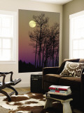 A Full Moon Shines on Winters Leafless Branches Wall Mural by George F. Mobley