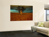 A Boab Tree Veggmaleri av Sam Abell A Boab Tree Veggmaleri av Sam Abell