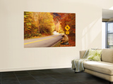 Autumn Road with Bear at Deer Crossing Sign, Vermont, USA Foto
