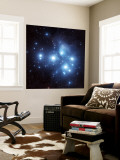 Pleiades Star Cluster Wall Mural