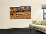 Chama River Canyon Wilderness Area, New Mexico, USA Wall Mural