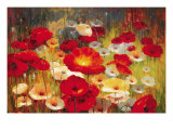 Meadow Poppies I Giclee Print by Lucas Santini