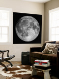 Full Moon Wall Mural