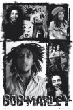 Bob Marley - Reprodüksiyon