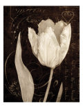 Garden Architecture II reproduction procédé giclée par Amy Melious