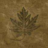 Leaves of Summer Posters par Janel Pahl