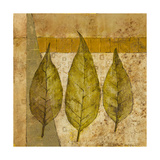 Nature Study II Giclee Print by John Kime