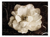Garden Journal II Lámina giclée por Amy Melious