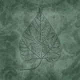 Leaves of Spring Posters par Janel Pahl