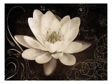 Garden Journal IV Giclee Print by Amy Melious Garden Journal IV Giclee Print by Amy Melious