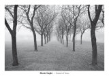 Tunnel of Trees Print by Monte Nagler