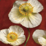 Poppy Elegance II Láminas por Janel Pahl