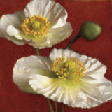 Coquelicot Elégance I Posters par Janel Pahl
