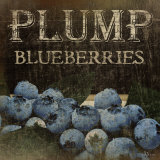 Plump Blueberries Prints by Jennifer Pugh