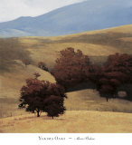 Yakima Oaks Posters by Marc Bohne