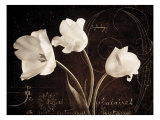 Garden Love Letter II Giclee Print by Amy Melious