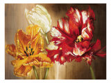 Tulipanes Lámina giclée por Selina Werbelow Tulipanes Lámina giclée por Selina Werbelow