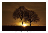 A New Beginning Prints by Ily Szilagyi