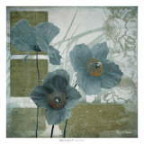 Cerulean Poppies I Affiche par Robert Lacie
