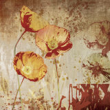 Poppy Heat II Póster por Tandi Venter Poppy Heat II Póster por Tandi Venter