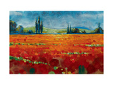 Spring Meadows II Lámina giclée por Selina Werbelow