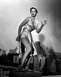 Elizabeth Montgomery Photographie