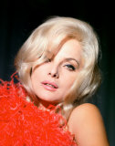 Virna Lisi Photographie