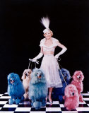 Doris Day Photographie