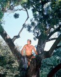 Ron Ely Photo