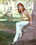 Gina Lollobrigida Photo