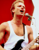 Sting Photographie