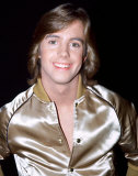 Shaun Cassidy Photo