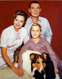 Lassie Fotografía