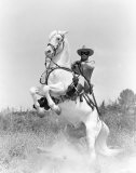 Clayton Moore Fotografía