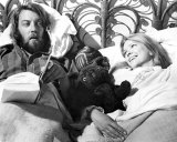 Donald Sutherland Photo