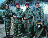 The Wild Geese Photo The Wild Geese Photo