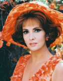 Gina Lollobrigida Photo