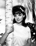 Dawn Wells Photo