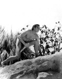 Tarzán de los monos Fotografía Tarzán de los monos Fotografía