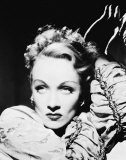 Marlene Dietrich Photo Marlene Dietrich Photo