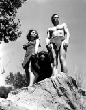 Tarzan, Herr des Urwalds Foto