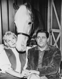 Mr. Ed Foto