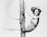 Vera Miles Photographie