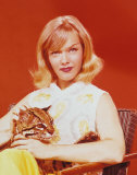 Anne Francis Photo