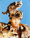Fess Parker Photo