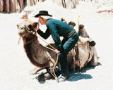 Richard Boone Photo