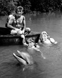 Flipper Photo
