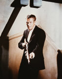Steve McQueen Photo