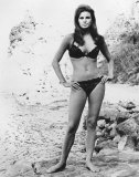 Raquel Welch Photo
