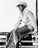 Steve McQueen Photo